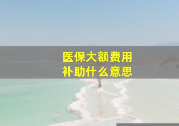 医保大额费用补助什么意思