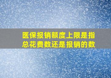 医保报销额度上限是指总花费数还是报销的数