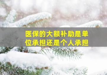 医保的大额补助是单位承担还是个人承担