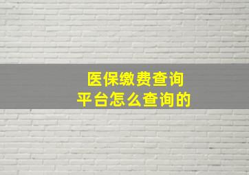 医保缴费查询平台怎么查询的