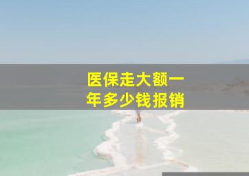 医保走大额一年多少钱报销