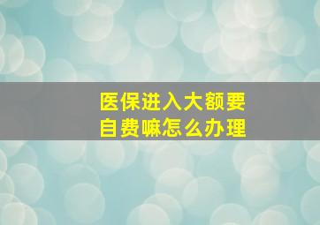 医保进入大额要自费嘛怎么办理