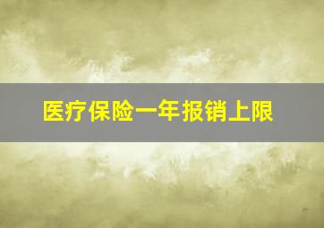 医疗保险一年报销上限