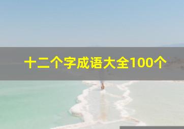 十二个字成语大全100个