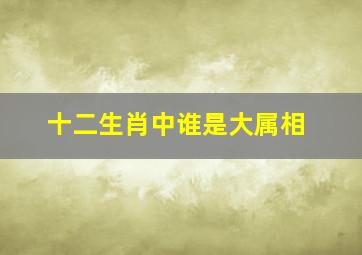 十二生肖中谁是大属相