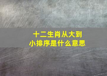 十二生肖从大到小排序是什么意思