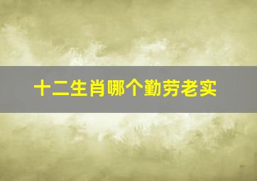 十二生肖哪个勤劳老实