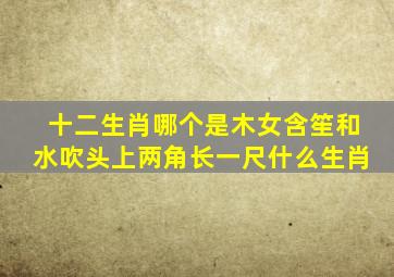 十二生肖哪个是木女含笙和水吹头上两角长一尺什么生肖