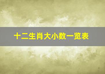 十二生肖大小数一览表