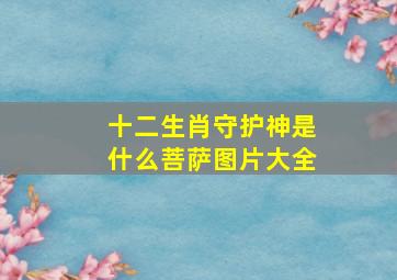 十二生肖守护神是什么菩萨图片大全