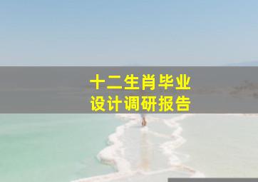 十二生肖毕业设计调研报告