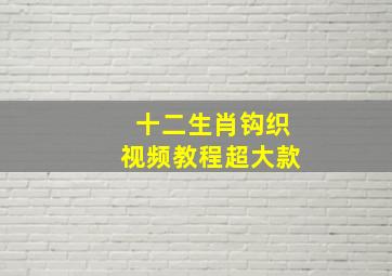 十二生肖钩织视频教程超大款