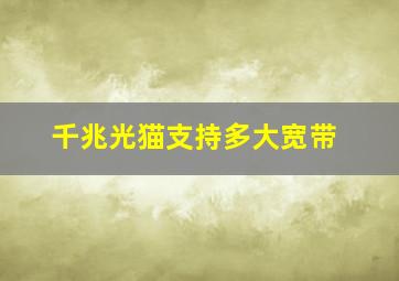 千兆光猫支持多大宽带