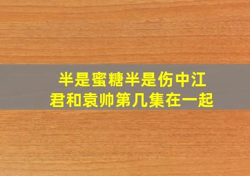 半是蜜糖半是伤中江君和袁帅第几集在一起