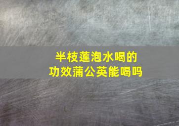 半枝莲泡水喝的功效蒲公英能喝吗