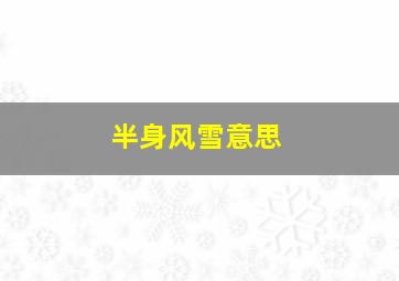 半身风雪意思