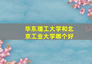 华东理工大学和北京工业大学哪个好