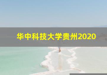 华中科技大学贵州2020