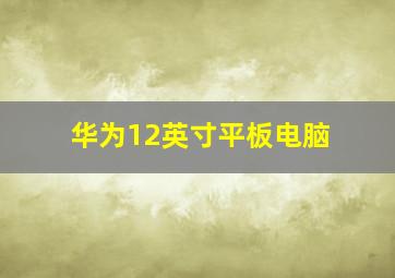 华为12英寸平板电脑