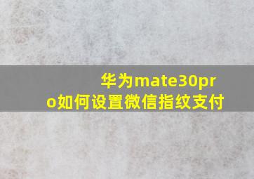 华为mate30pro如何设置微信指纹支付