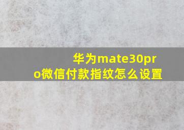 华为mate30pro微信付款指纹怎么设置