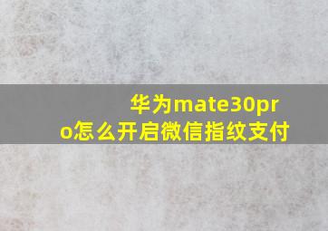 华为mate30pro怎么开启微信指纹支付