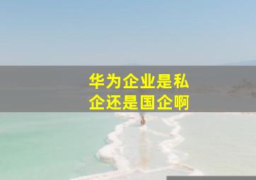 华为企业是私企还是国企啊