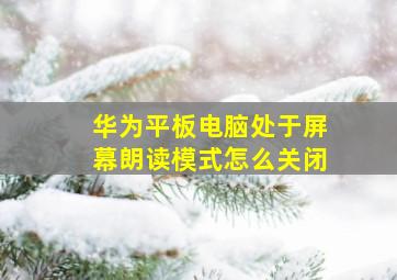 华为平板电脑处于屏幕朗读模式怎么关闭