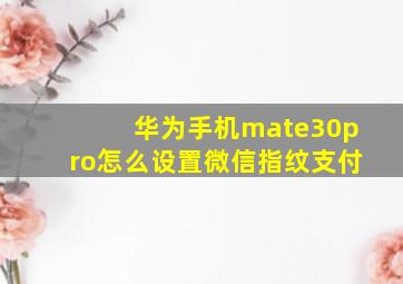 华为手机mate30pro怎么设置微信指纹支付