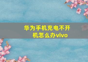 华为手机充电不开机怎么办vivo