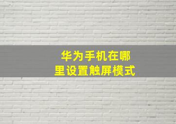 华为手机在哪里设置触屏模式