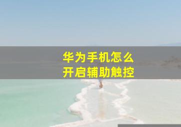 华为手机怎么开启辅助触控