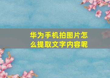 华为手机拍图片怎么提取文字内容呢