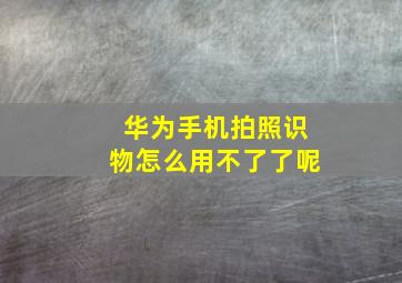 华为手机拍照识物怎么用不了了呢