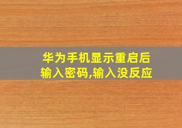 华为手机显示重启后输入密码,输入没反应