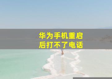 华为手机重启后打不了电话