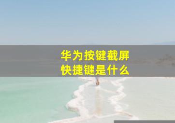 华为按键截屏快捷键是什么