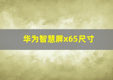 华为智慧屏x65尺寸