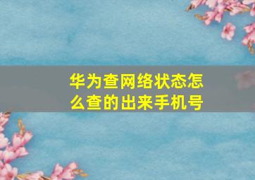 华为查网络状态怎么查的出来手机号