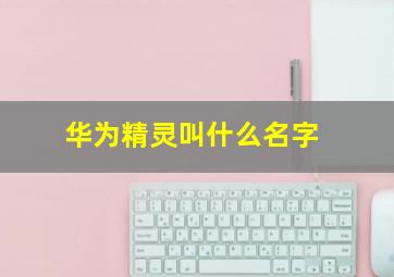 华为精灵叫什么名字