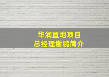 华润置地项目总经理谢鹏简介