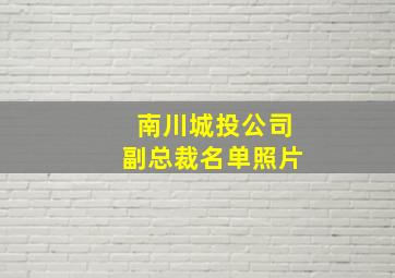 南川城投公司副总裁名单照片