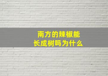 南方的辣椒能长成树吗为什么