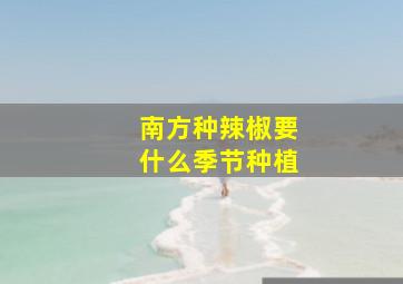 南方种辣椒要什么季节种植