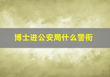 博士进公安局什么警衔