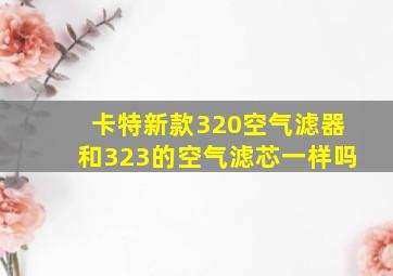 卡特新款320空气滤器和323的空气滤芯一样吗