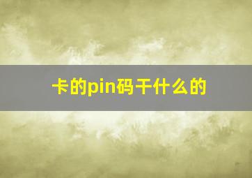 卡的pin码干什么的