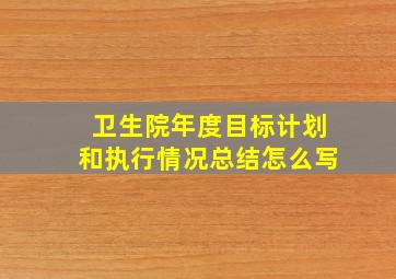 卫生院年度目标计划和执行情况总结怎么写