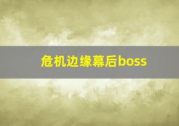 危机边缘幕后boss