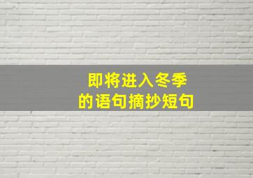 即将进入冬季的语句摘抄短句